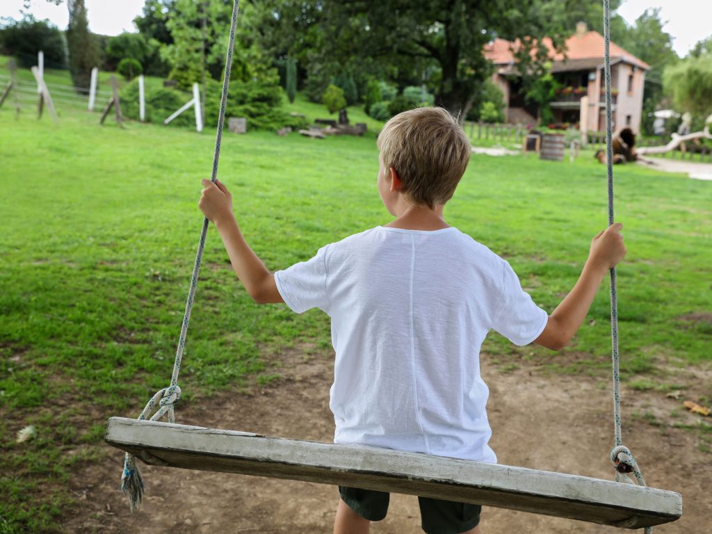 A Young Boy Sitting On A Tree Swing With His Back Facing The Camera.
